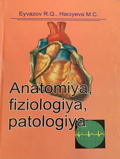 anatomiya